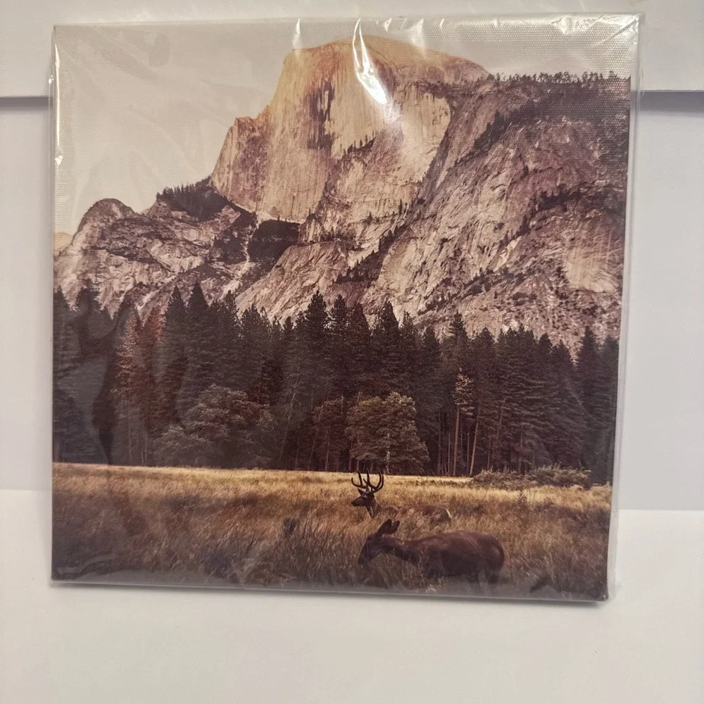 Rustic Mountain Landscape Canvas Wall Art